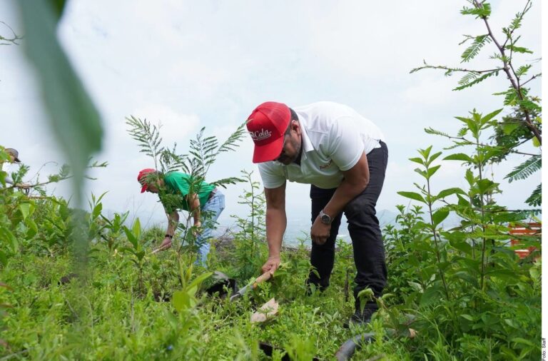 Invitan a campaña de reforestación en Chalchihuites