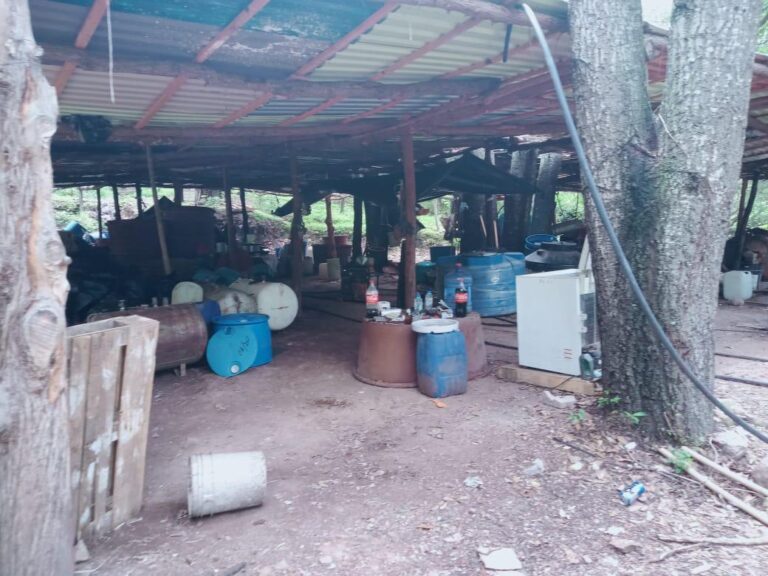 Localizan y desmantelan narcolaboratorio en Palmajerillo
