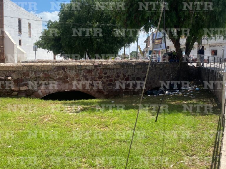 Denuncian basura en puente Luis Moya desde fiesta patria