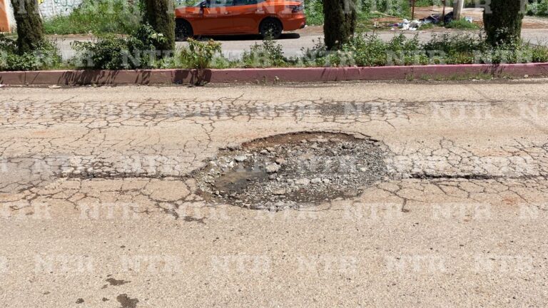 Afectan enormes baches a vecinos de la Barones
