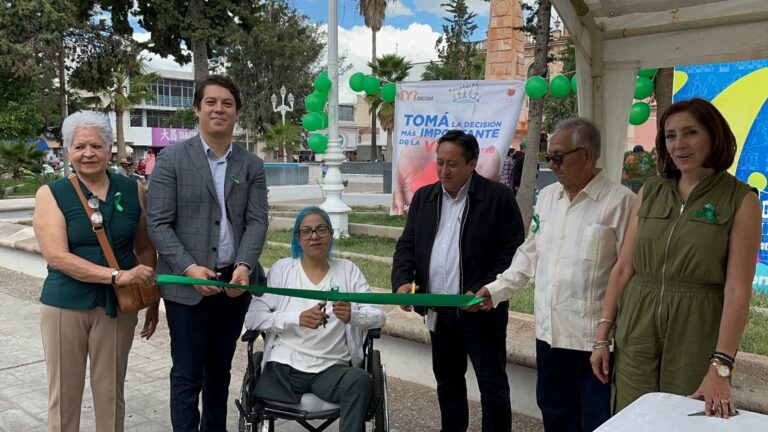 A la baja, donadores de órganos