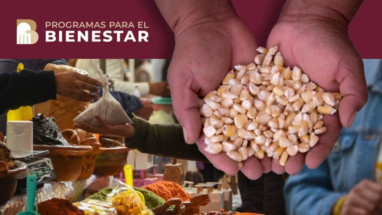 Dudan de limpia en Segalmex