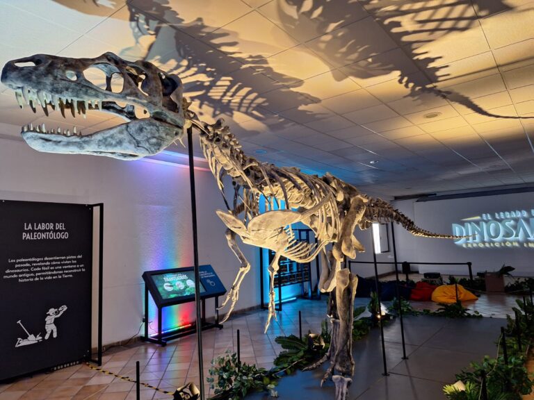 Explora la historia de los dinosaurios