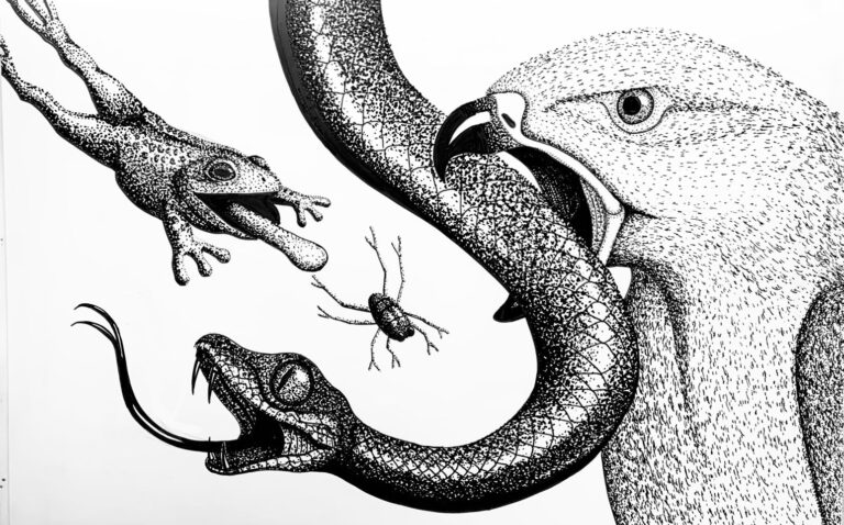 Ilustra Fernando Jiménez mitos mayas en Bolivia