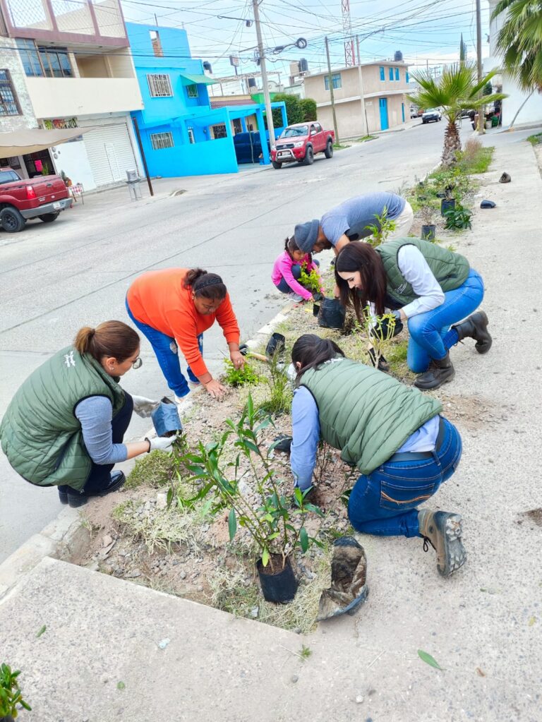 Incorpora Gobierno de Zacatecas jardín polinizador en Fresnillo