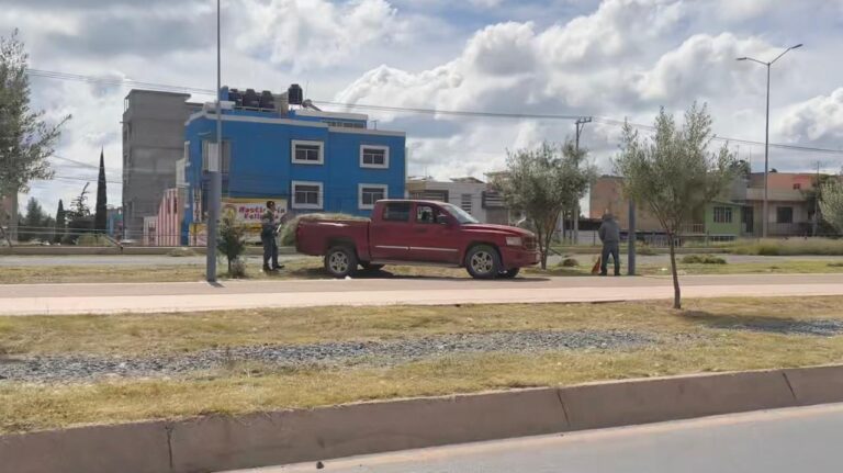 Dan mantenimiento a camellones y al Paseo del Peregrino