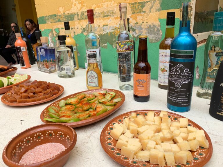 Piden a Sezac retomar apoyos para mezcaleras