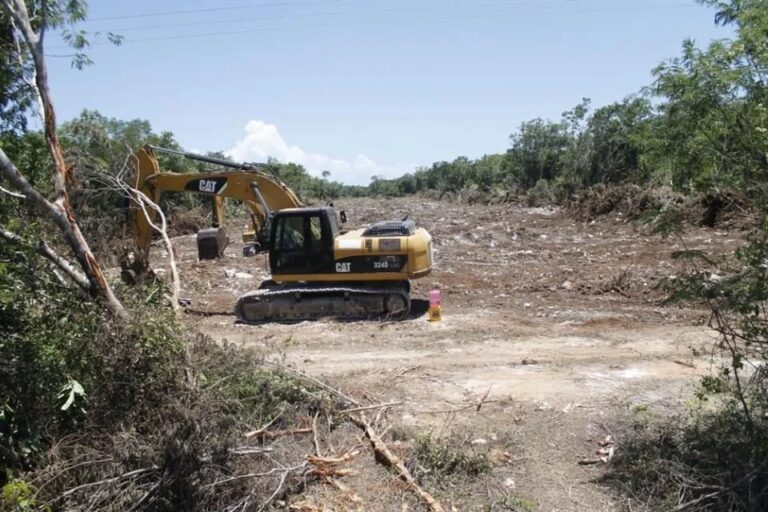 Talan por Tren Maya otras 219 hectáreas