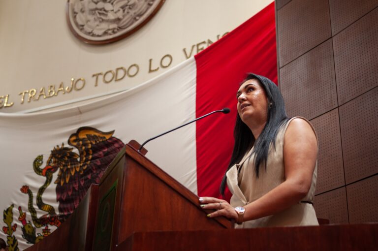 «Legislatura se va con una deuda»: diputada
