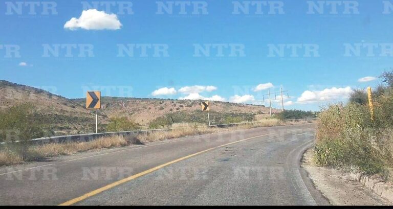 Bache tras bache en carretera estatal 44