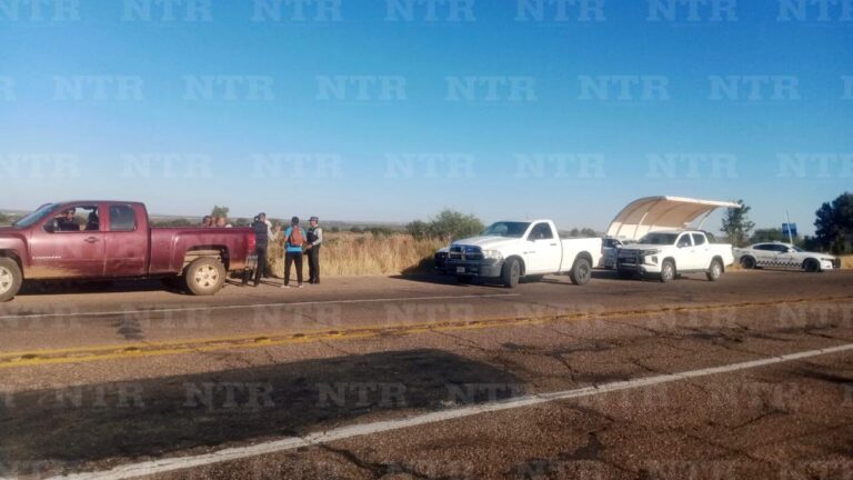 Detienen a conductor con automóvil robado en Fresnillo