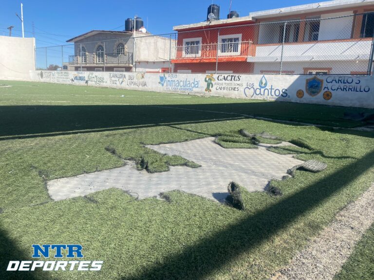 Claman por Rescate de Cancha en Cañitas