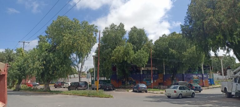 Comienza Servicios Públicos con mantenimiento en panteones de la capital