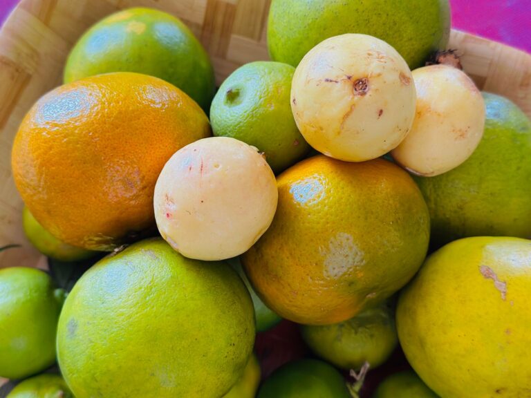 Emite SSZ recomedaciones nutrimentales por bajas temperaturas