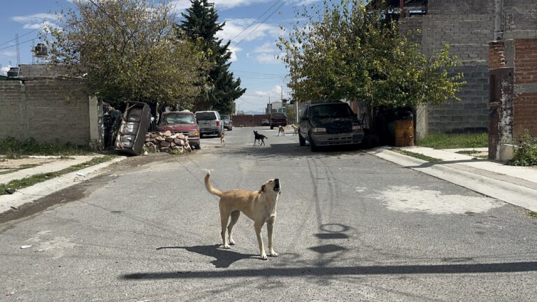 Llevan 15 días sin agua en Lomas del Mineral