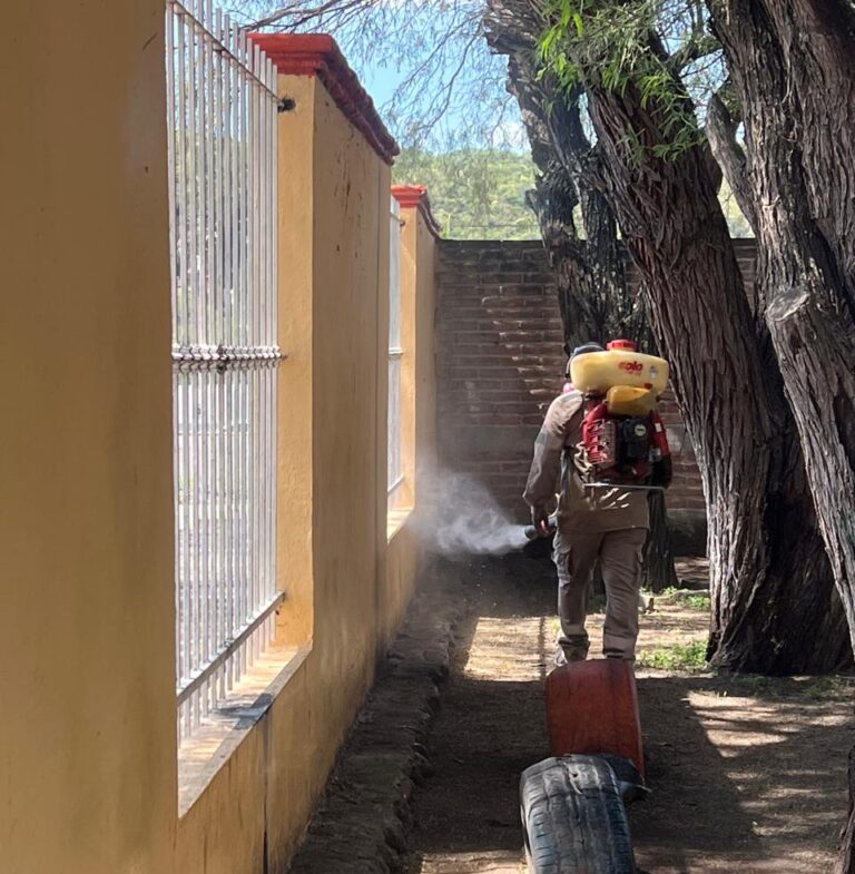 Chocan versiones de muerte por dengue