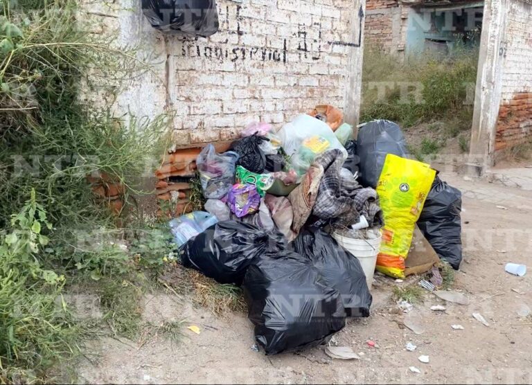 Deficiente, recolección de basura en Ojocaliente