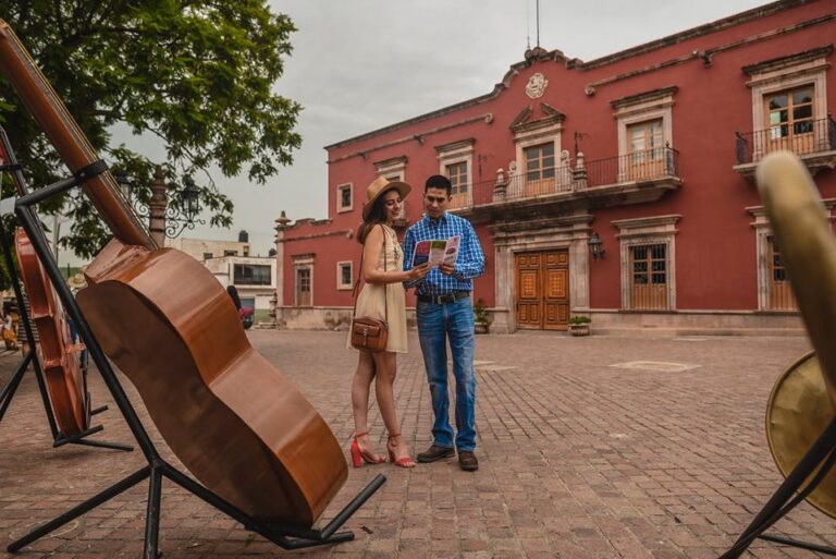 Recupera el estado 20% de turismo