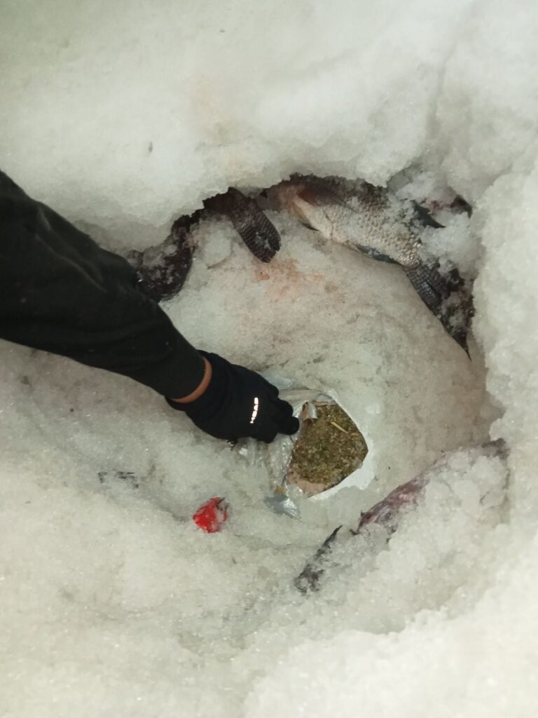 Lo vinculan por transportar más de una tonelada de marihuana