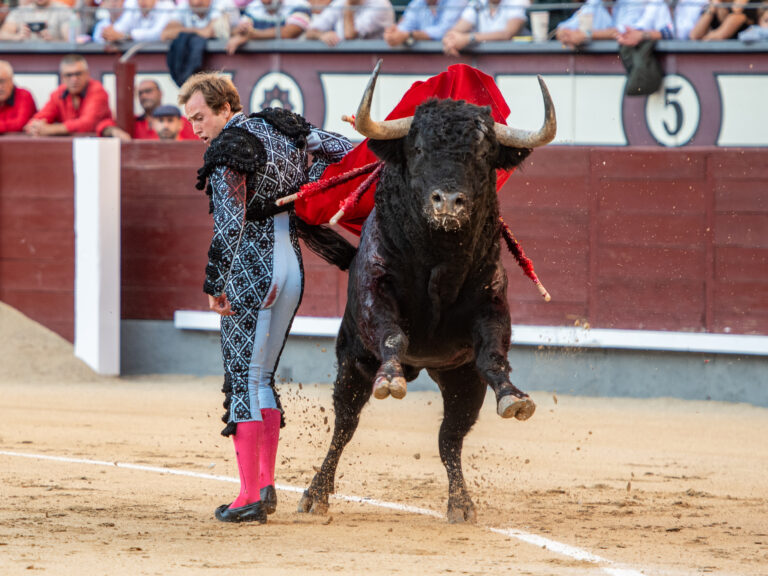Vuelta al ruedo para Tomás Rufo en la cuarta de Otoño