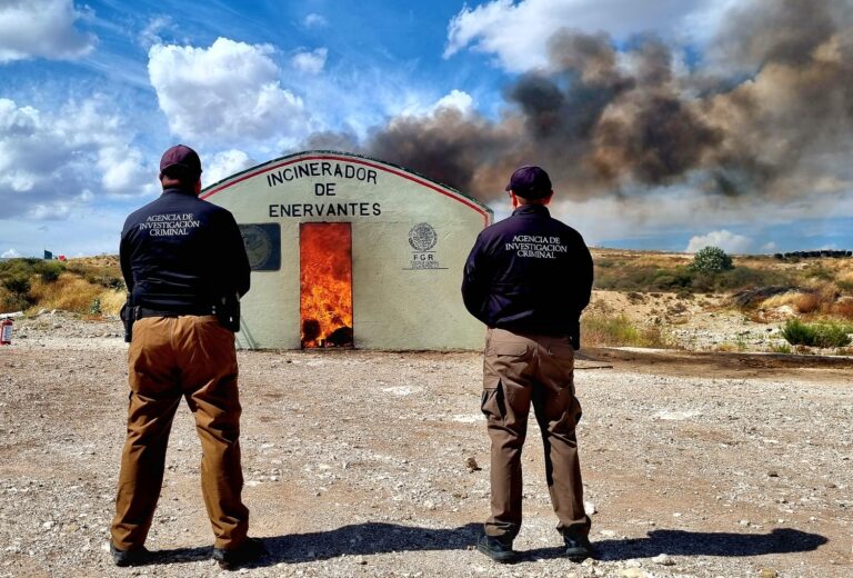 Incinera FGR más de una tonelada de narcótico en Zacatecas