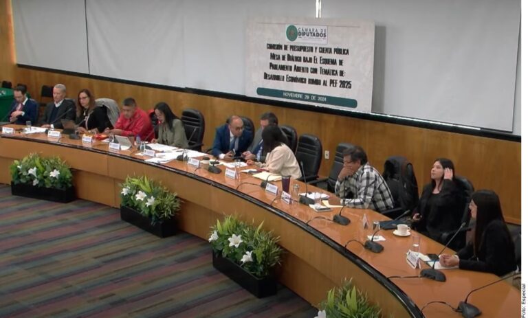 Piden reconsiderar presupuesto para trenes de pasajeros