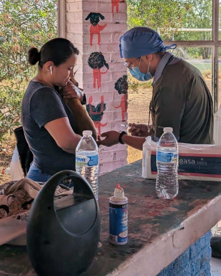 Realiza SSZ esterilizaciones caninas y felinas en municipios