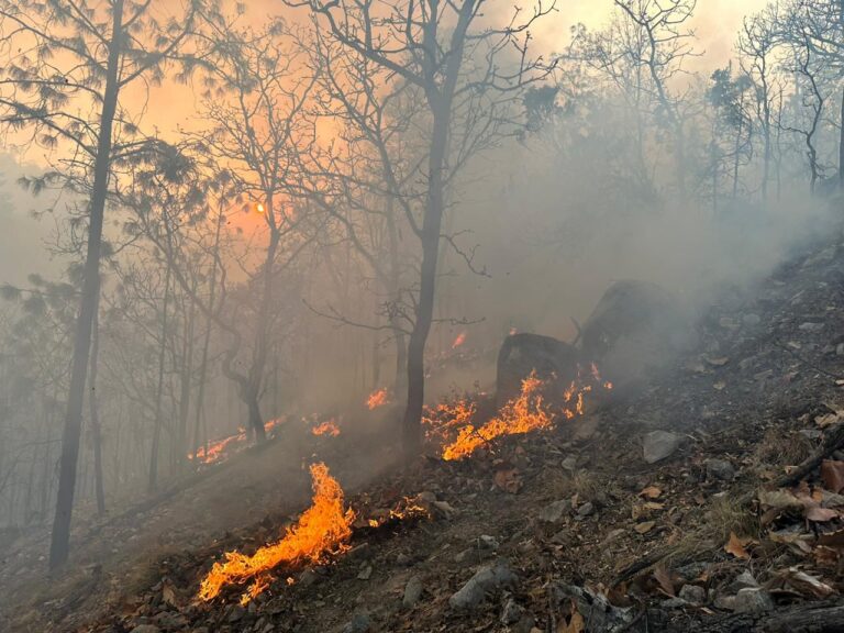 Alerta por alza de incendios en Fresnillo