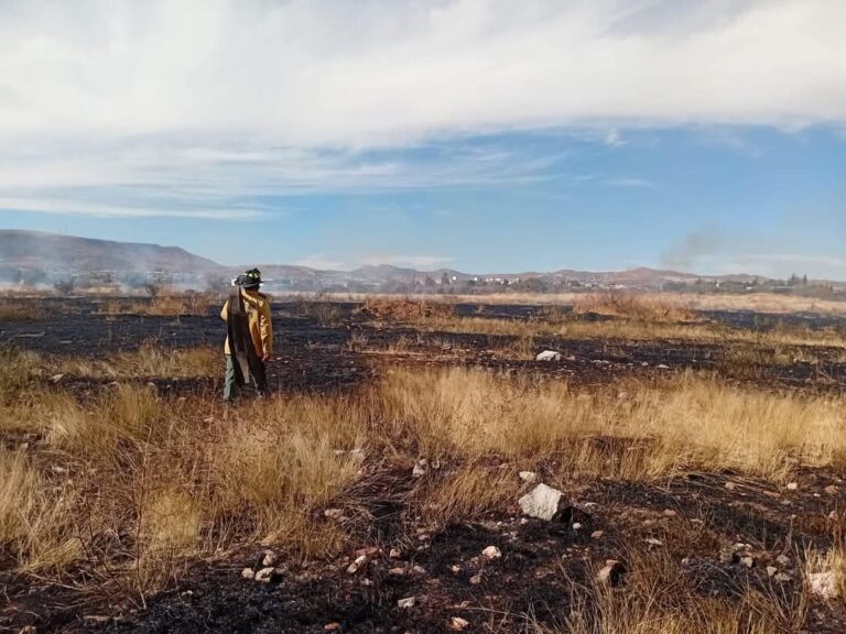 Consume incendio hectarea y media de hierba en La Comarca