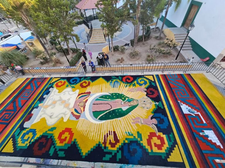 Veneran a la virgen del Agostadero con Mega tapete