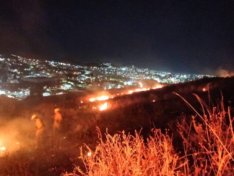 Registran al menos 15 incendios durante esta semana