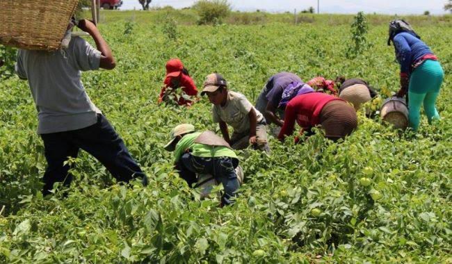 Buscan evitar defunciones entre los jornaleros