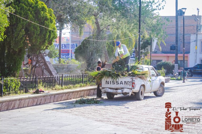 Basura, problema grave en Loreto