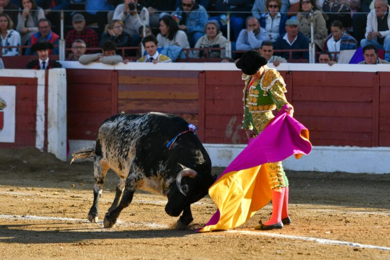 Bruno Aloi, el mejor novillero en Cali