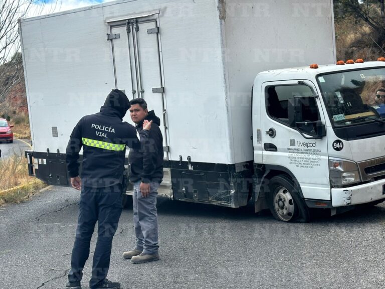 Camión termina varado tras ponchadura de neumático