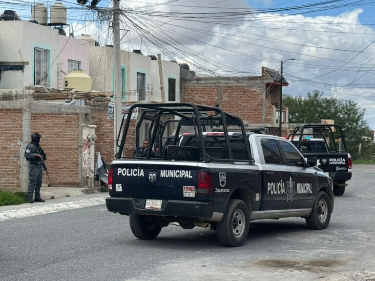 Cierra 2024 con 7 policías asesinados