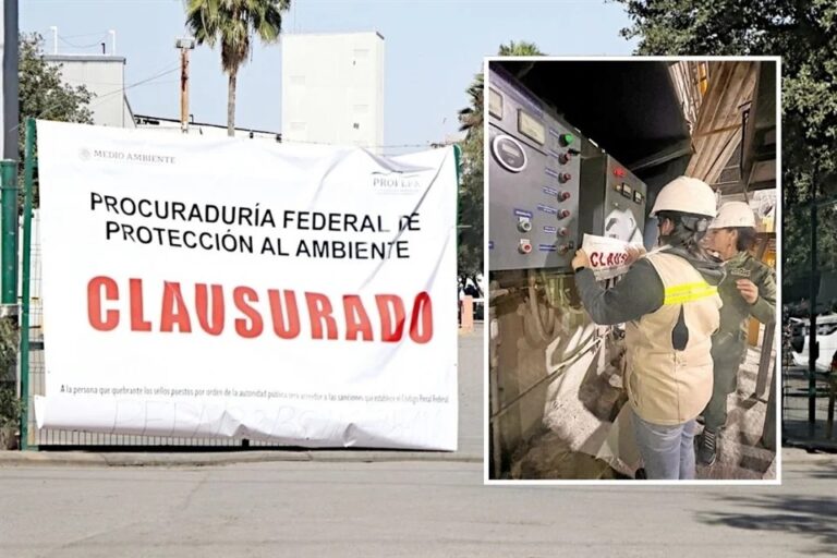 Clausura Profepa a Zinc Nacional