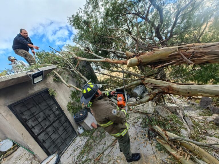 Continúan los estragos por fuertes vientos