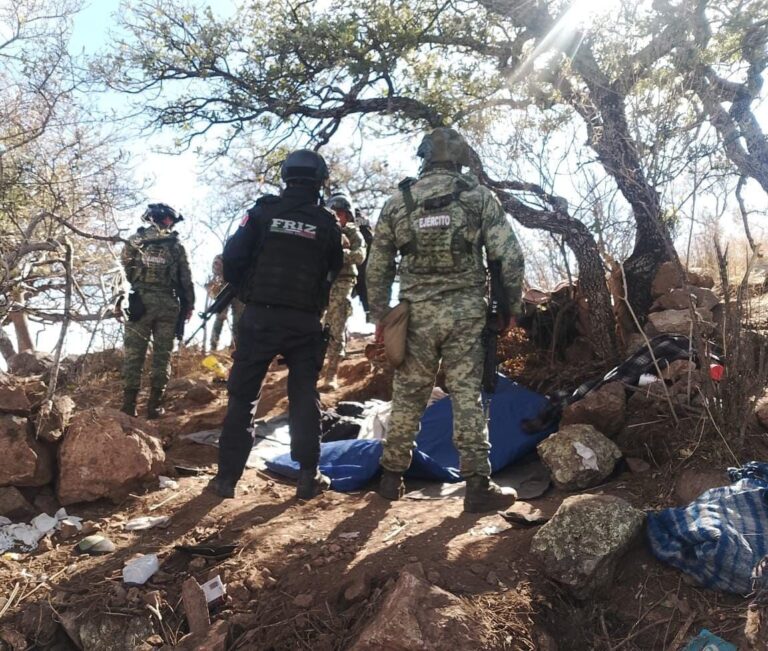 Destruyen Fuerzas de Seguridad ocho campamentos delincuenciales