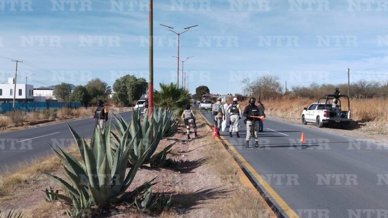 Localizan a hombre sin vida en la orilla de una carretera