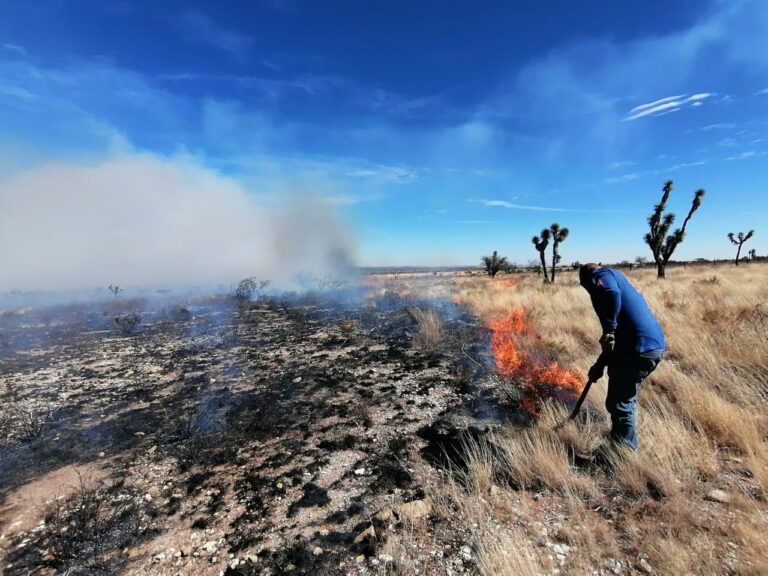 Ganaderos, afectados por voraz incendio