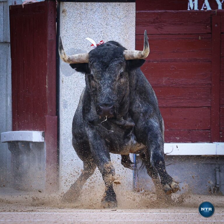 Listo, arranque de temporada en Las Ventas