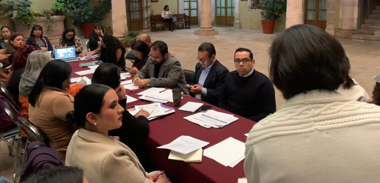 Simula gobierno atención a 8M: feministas