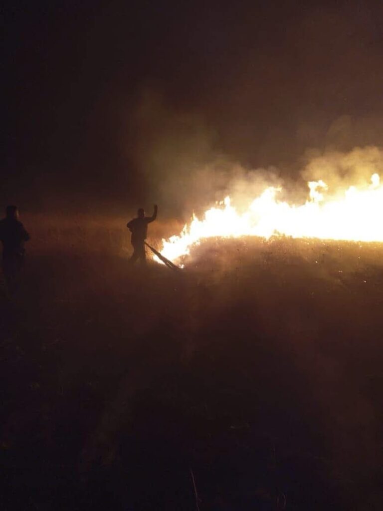 Registran fuerte incendio forestal en carretera estatal 181