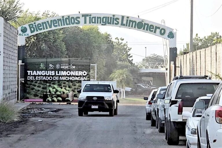 Busca el crimen control de limón