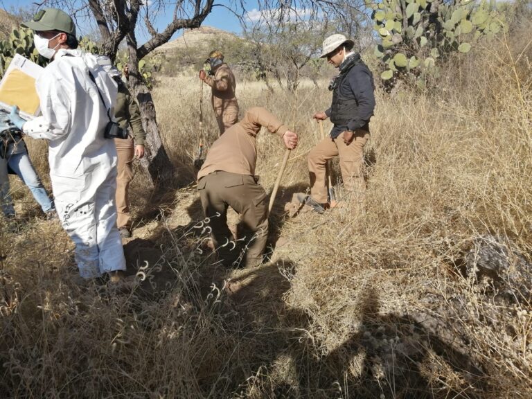 Encuentran restos humanos en la zona de Agostadero