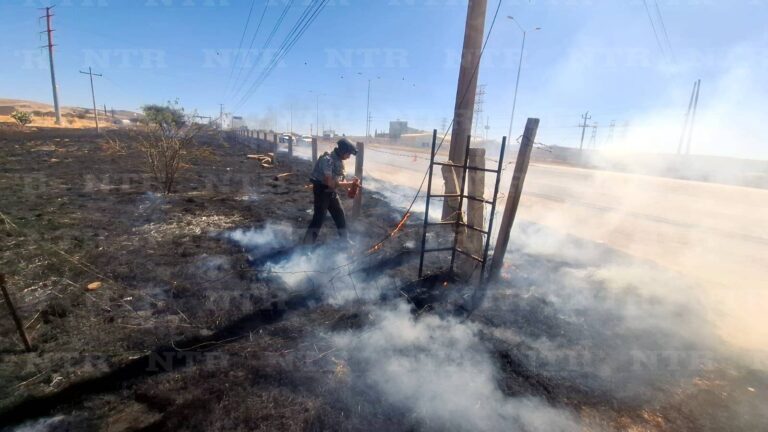 Se incendia maleza en la carretera federal 45