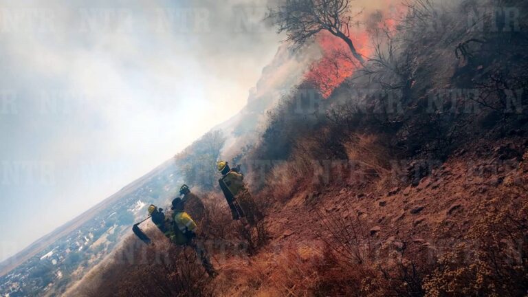 Alerta en Guadalupe por fuerte incendio en el Cerro de la Cruz