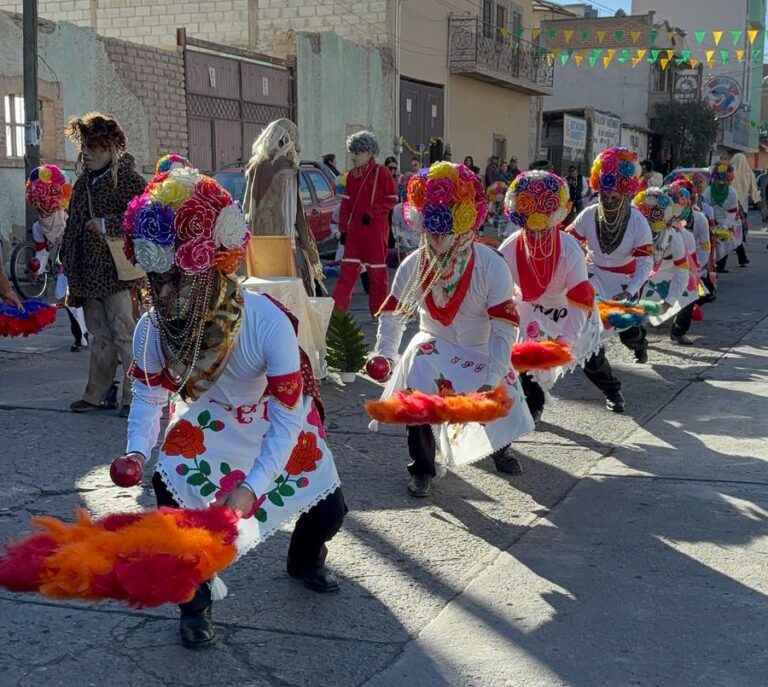 Olvidan declaratoria de la Danza de la Palma como Patrimonio Cultural
