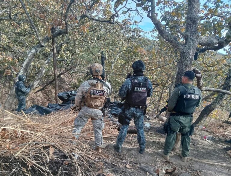 Desmantelan campamento delincuencial en Florencia
